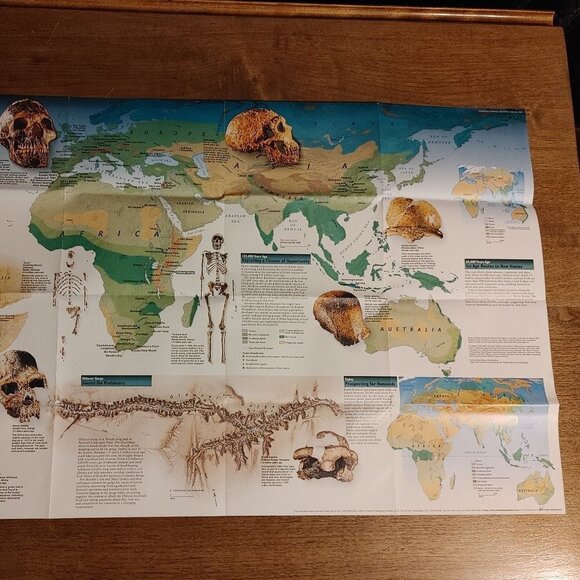 NATIONAL GEOGRAPHIC DAWN of HUMANS WALL POSTER Double Sided Full Colour Feb 97 - Picture 5 of 5